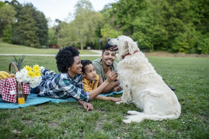 Hotels with the Best Puppy Perks: The Inn & Tavern at Meander